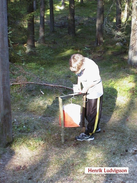 Bild6