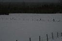 080412_1136_orientering